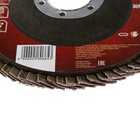 Круг лепестковый торцевой ЛОМ, 115×22 мм, Р100 - Фото 2