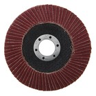 Круг лепестковый торцевой ЛОМ, 115×22 мм, Р100 - Фото 3