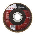 Круг лепестковый торцевой ЛОМ, 115×22 мм, Р120 - Фото 1