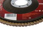 Круг лепестковый торцевой ЛОМ, 115×22 мм, Р120 - Фото 2