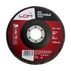 Круг лепестковый торцевой ЛОМ, 125×22 мм, Р40 - Фото 1