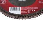 Круг лепестковый торцевой ЛОМ, 125×22 мм, Р40 - Фото 2