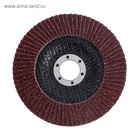 Круг лепестковый торцевой ЛОМ, 125×22 мм, Р40 - Фото 3