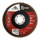 Круг лепестковый торцевой ЛОМ, 125×22 мм, Р80 - Фото 1