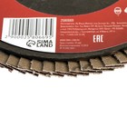 Круг лепестковый торцевой ЛОМ, 125×22 мм, Р80 - Фото 2