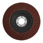 Круг лепестковый торцевой ЛОМ, 125×22 мм, Р80 - Фото 3