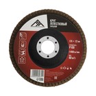 Круг лепестковый торцевой ЛОМ, 125×22 мм, Р100 - Фото 1