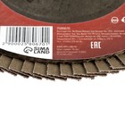 Круг лепестковый торцевой ЛОМ, 125×22 мм, Р100 - Фото 2