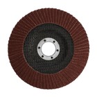 Круг лепестковый торцевой ЛОМ, 125×22 мм, Р100 - Фото 3