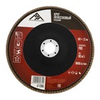 Круг лепестковый торцевой ЛОМ, 180×22 мм, Р80 - Фото 1