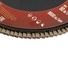 Круг лепестковый торцевой ЛОМ, 180×22 мм, Р80 - Фото 2