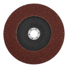 Круг лепестковый торцевой ЛОМ, 180×22 мм, Р80 - Фото 3