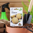 Семена Дыня "Алтайская", ц/п, 0,5 г серия ХИТ х3 - Фото 5