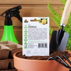 Семена Дыня "Алтайская", ц/п, 0,5 г серия ХИТ х3 - Фото 6