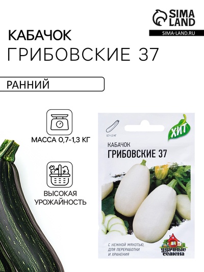 Семена Кабачок «Грибовские 37», 1.5 г, серия ХИТ х3