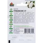 Семена Кабачок "Грибовские 37", 1,5 г серия ХИТ х3 - Фото 2