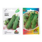 Семена Кабачок "Зебра", 1,5 г серия ХИТ х3 - Фото 1