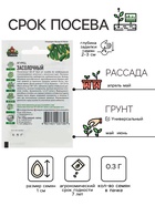 Семена Огурец "Засолочный", среднеранний, пчелоопыляемый, 0,3 г - Фото 2