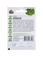 Семена Огурец "Изящный", раннеспелый, пчелоопыляемый, 0,3 г серия ХИТ х3 - Фото 6