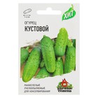 Семена Огурец "Кустовой", раннеспелый, пчелоопыляемый, 0,3 г  серия ХИТ х3 - Фото 1