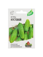 Семена Огурец "Кустовой", раннеспелый, пчелоопыляемый, 0,5 г  серия ХИТ х3 - фото 808711739