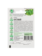 Семена Огурец "Кустовой", раннеспелый, пчелоопыляемый, 0,5 г  серия ХИТ х3 - фото 808711740