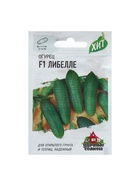 Семена Огурец "Либелле" F1, среднеспелый, пчелоопыляемый, 0,3 г серия ХИТ х3 - Фото 6