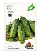 Семена Огурец "Миг", раннеспелый, пчелоопыляемый, 0,5 г  серия ХИТ х3 - фото 808855104