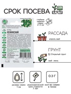 Семена Огурец «Нежинский», раннеспелый, пчелоопыляемый, 0.3 г, «ХИТ», «Гавриш» - Фото 2