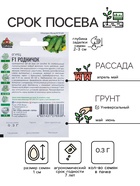 Семена Огурец «Родничок» F1, среднеранний, пчелоопыляемый, 0.3 г серия «ХИТ», «Гавриш» - Фото 2