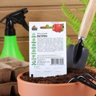 Семена Перец сладкий "Ласточка", скороспелый, 0,1 г серия ХИТ х3 - Фото 5