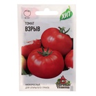 Семена Томат балконный «Взрыв», раннеспелый, детерминантный, 0.05 г, «ХИТ-Гавриш» - Фото 5