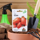 Семена Томат «Челнок», раннеспелый, детерминантный, низкорослый, 0.05 г, «Удачные семена» - Фото 6