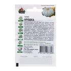 Семена Тыква "Крошка", 2 г серия ХИТ х3 - Фото 2