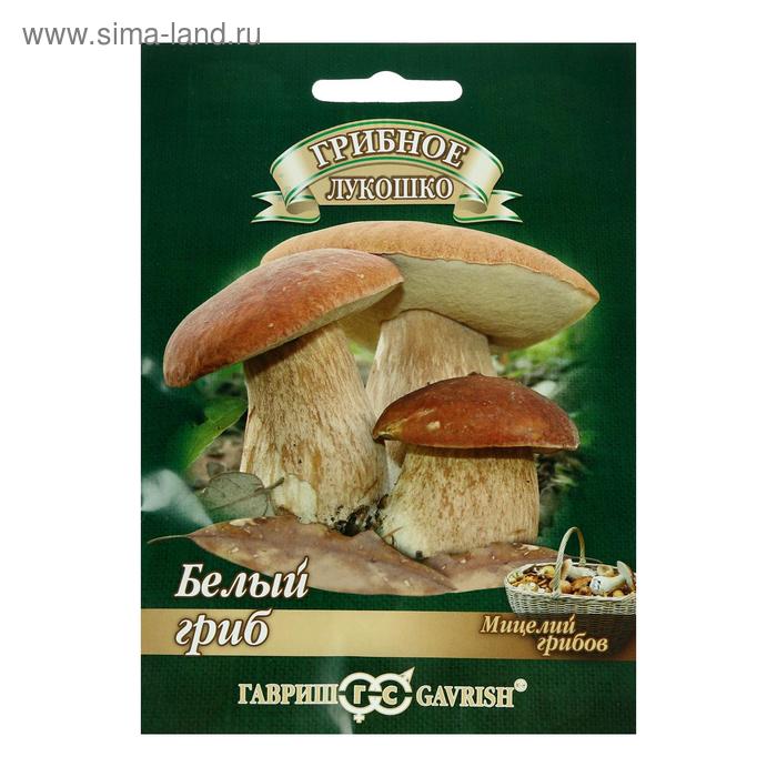 Семена Мицелий "Белый гриб", ц/п, на зерновом субстрате, 15 мл - Фото 1