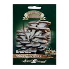 Семена Мицелий "Вешенка Обыкновенная", ц/п, на древесной палочке, 12 шт. - Фото 1