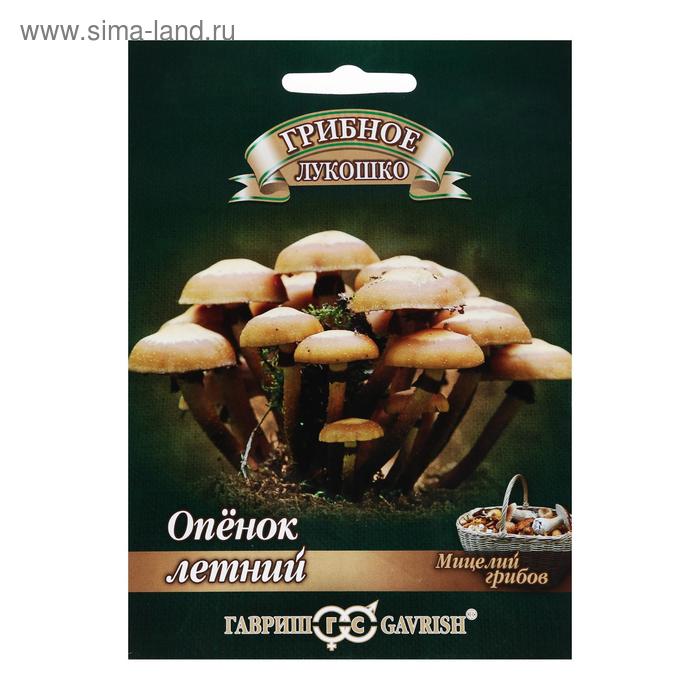 Семена Мицелий "Опенок", ц/п, летний на древесной палочке, 12 шт. - Фото 1