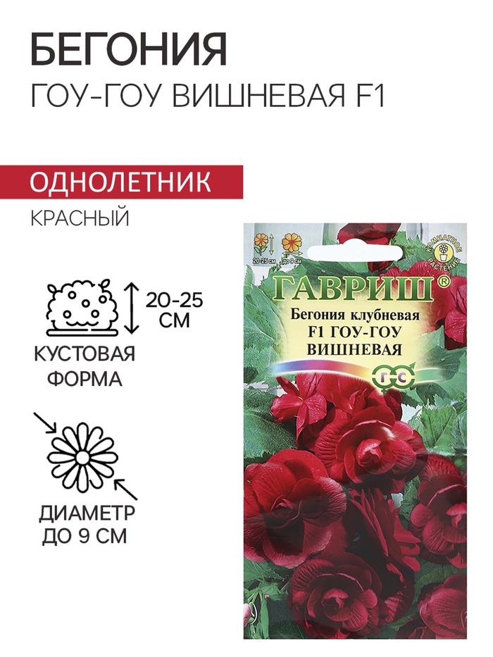 Семена комнатных цветов Бегония "Гоу-гоу", ц/п, вишневая, F1, 4 шт. - Фото 1