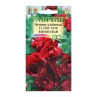 Семена комнатных цветов Бегония "Гоу-гоу", ц/п, вишневая, F1, 4 шт. - Фото 5