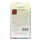 Семена комнатных цветов Бегония "Гоу-гоу", ц/п, вишневая, F1, 4 шт. - Фото 6