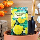 Семена комнатных цветов Бегония "Гоу-гоу", ц/п, желтая, F1, 4 шт. - Фото 1