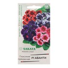 Семена комнатных цветов Глоксиния Аванти "Смесь", F1, 4 шт. - фото 11745857
