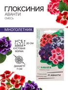 Семена комнатных цветов Глоксиния Аванти "Смесь", ц/п, F1, 4 шт. - Фото 1