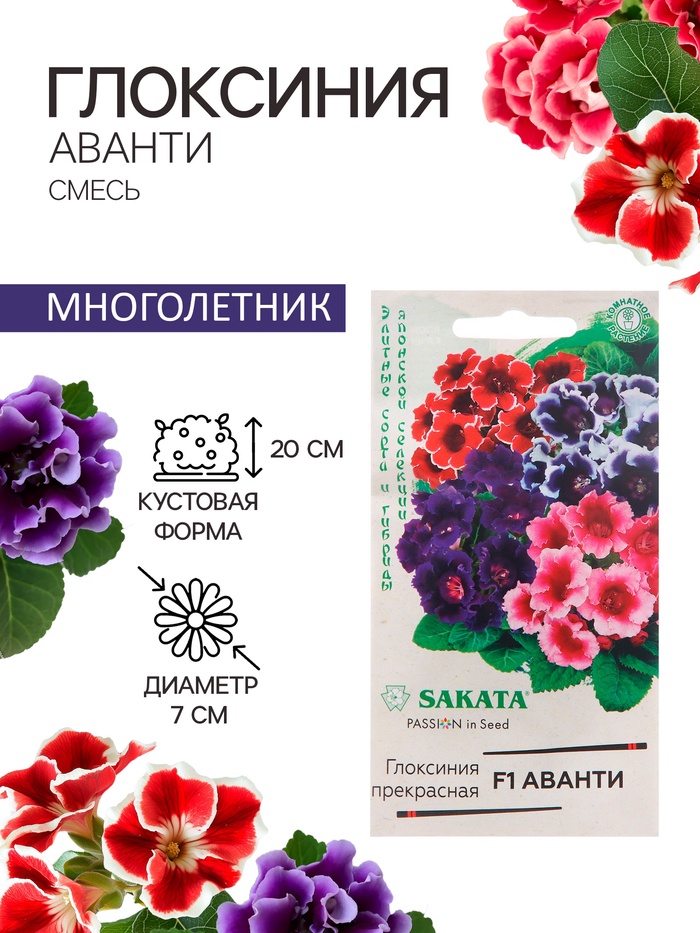 Семена комнатных цветов Глоксиния Аванти "Смесь", ц/п, F1, 4 шт. - Фото 1