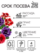 Семена комнатных цветов Глоксиния Аванти "Смесь", ц/п, F1, 4 шт. - Фото 2