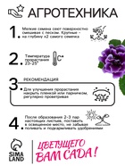 Семена комнатных цветов Глоксиния Аванти "Смесь", ц/п, F1, 4 шт. - Фото 4