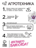 Семена комнатных цветов Глоксиния Аванти «Светло-фиолетовая», F1, «Гавриш», 4 шт. - Фото 2