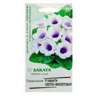 Семена комнатных цветов Глоксиния Аванти «Светло-фиолетовая», F1, «Гавриш», 4 шт. - Фото 5