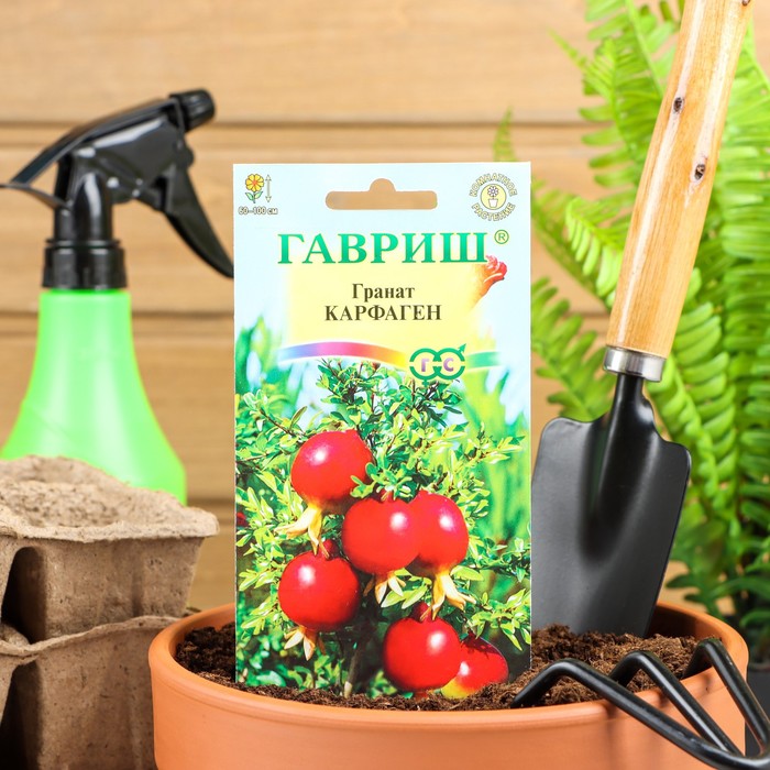 Семена комнатных цветов Гранат «Карфаген», 5 шт., «Гавриш» - Фото 1