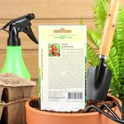 Семена комнатных цветов Гранат «Карфаген», 5 шт., «Гавриш» - Фото 2